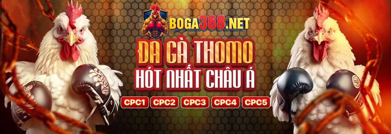 Chương trình VIP độc quyền tại k9bet link mới